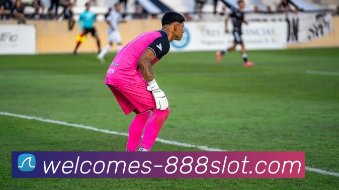 888电子官网平台生态图